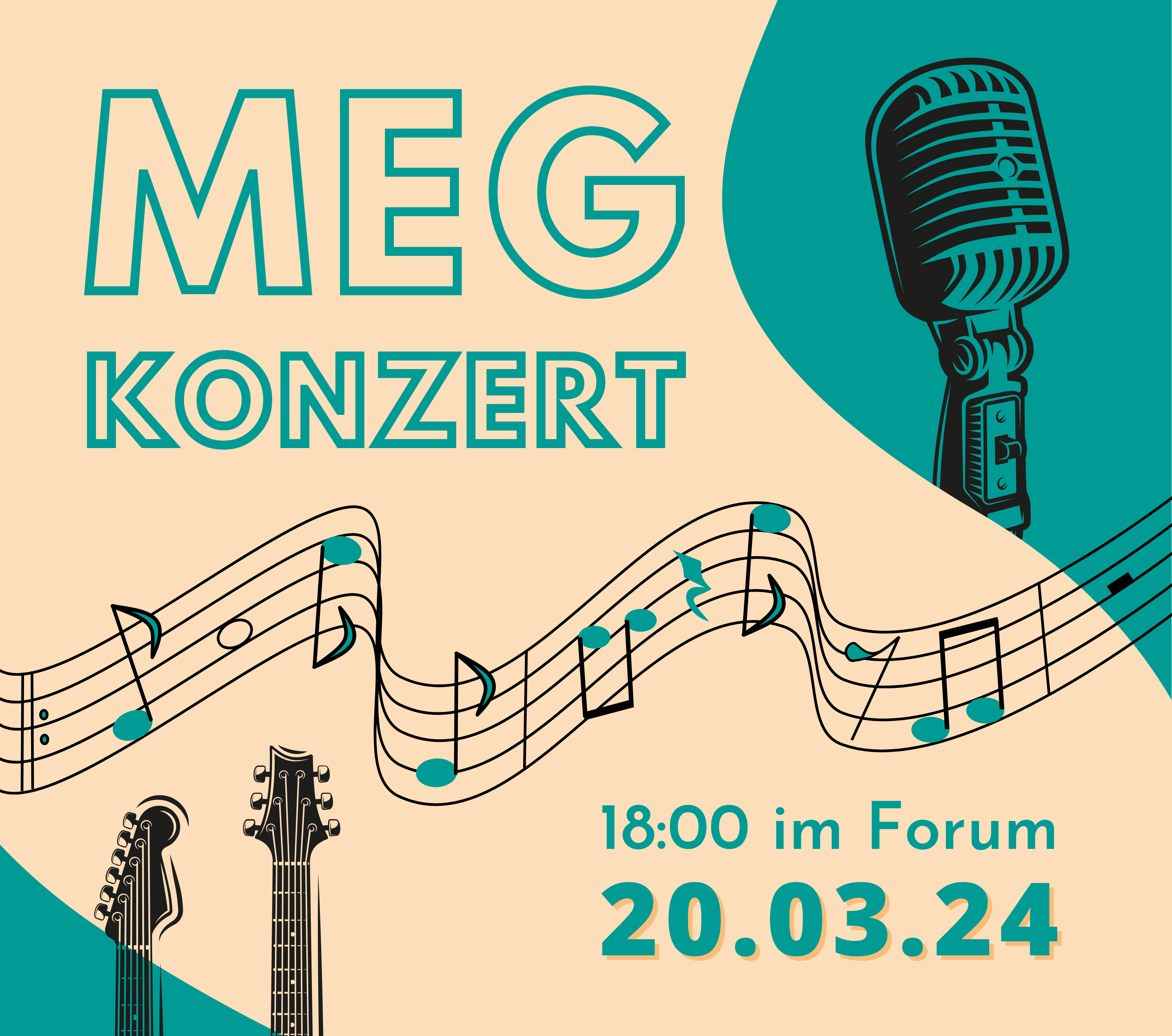 Read more about the article Kommt zum MEG Konzert am 20.März!