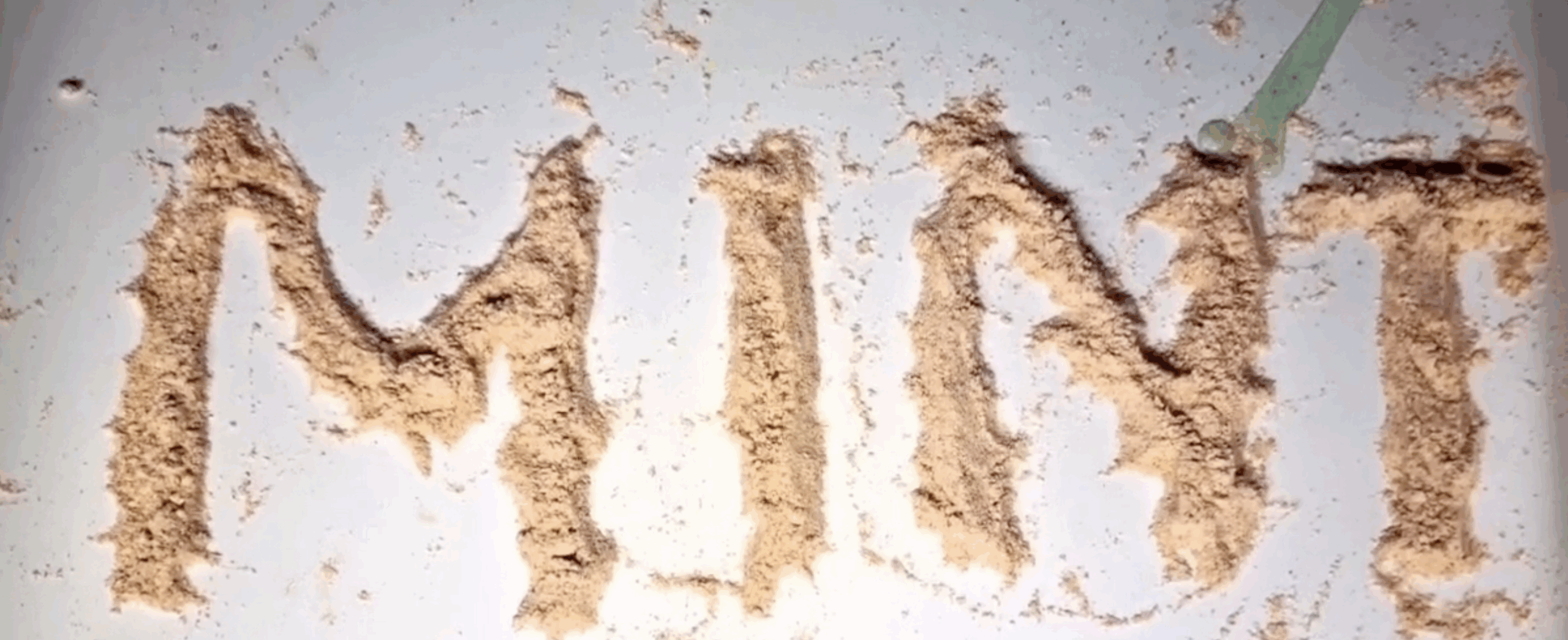 Mehr über den Artikel erfahren Foto-Video Projekt der 10D