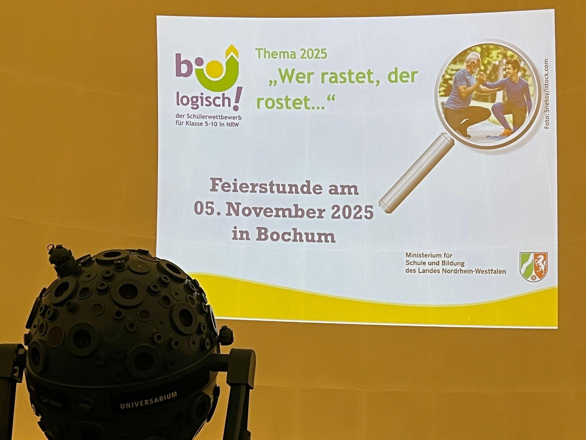 966a0c78-effa-4c5b-990f-64a588d0a721