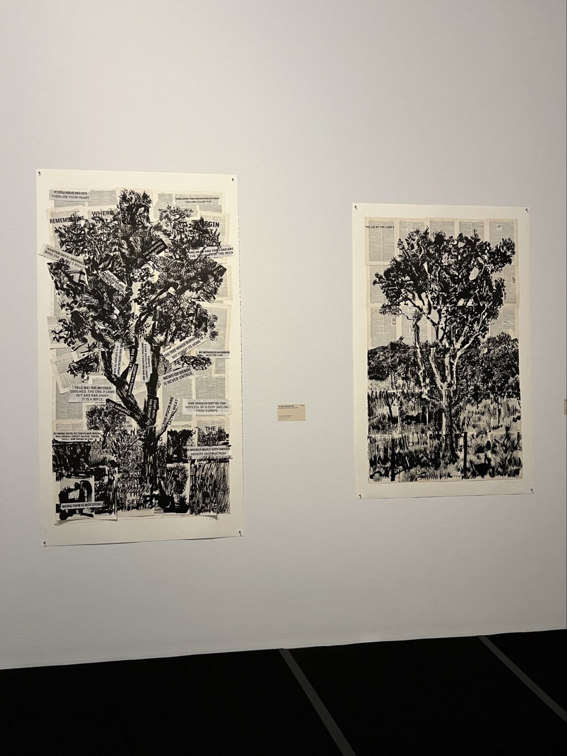 Image - 2025-12-01T182922.603