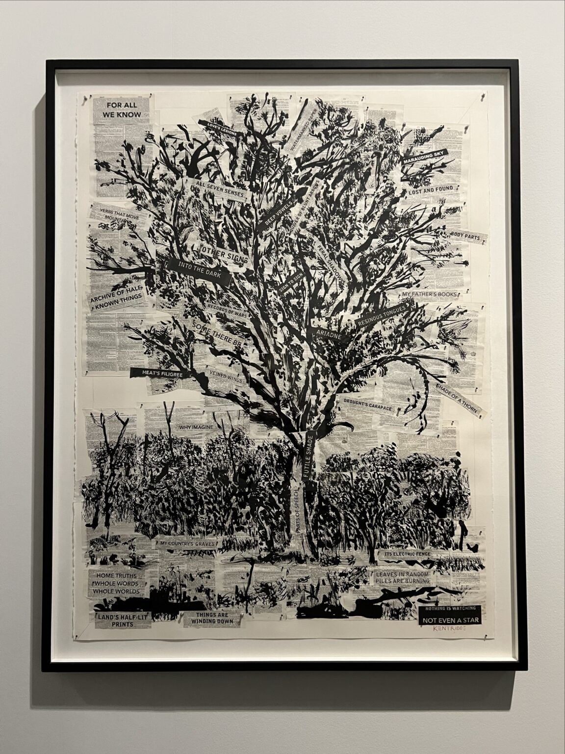 Image - 2025-12-01T182926.817