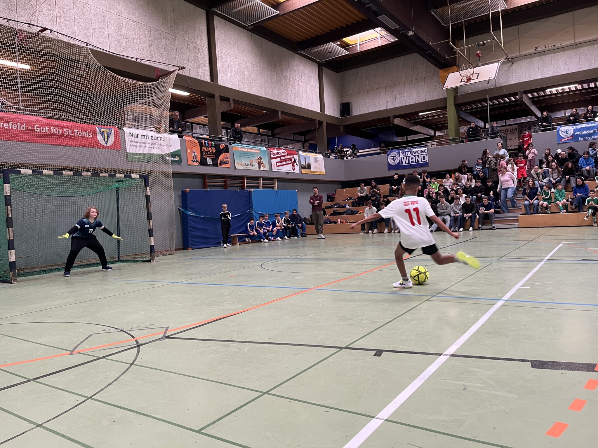 Image - 2026-01-30T161620.345