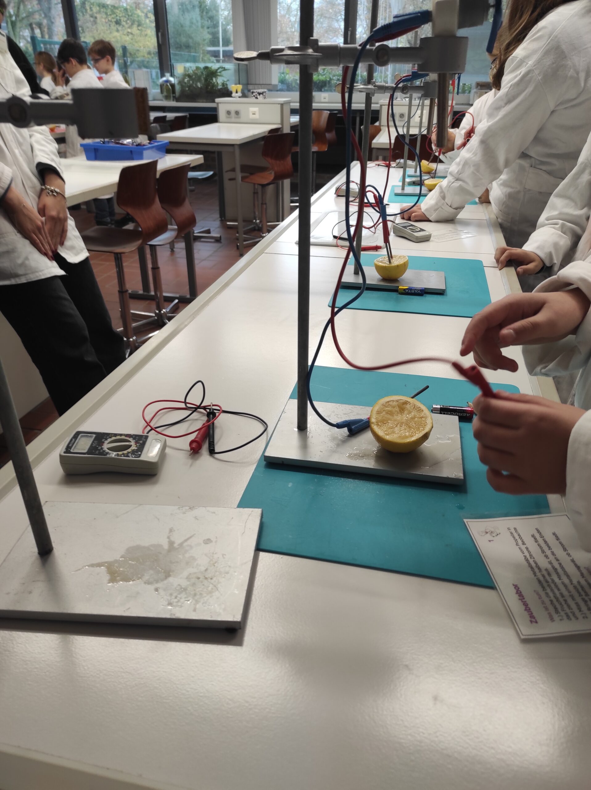 Mehr über den Artikel erfahren MEG-Lab 2025/26