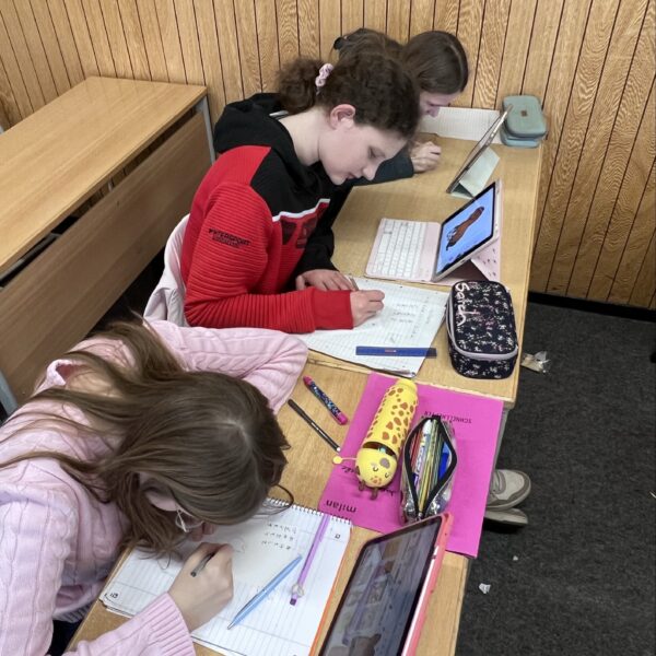 Unsere Schülerinnen gestalten ihre Neujahrskarten.