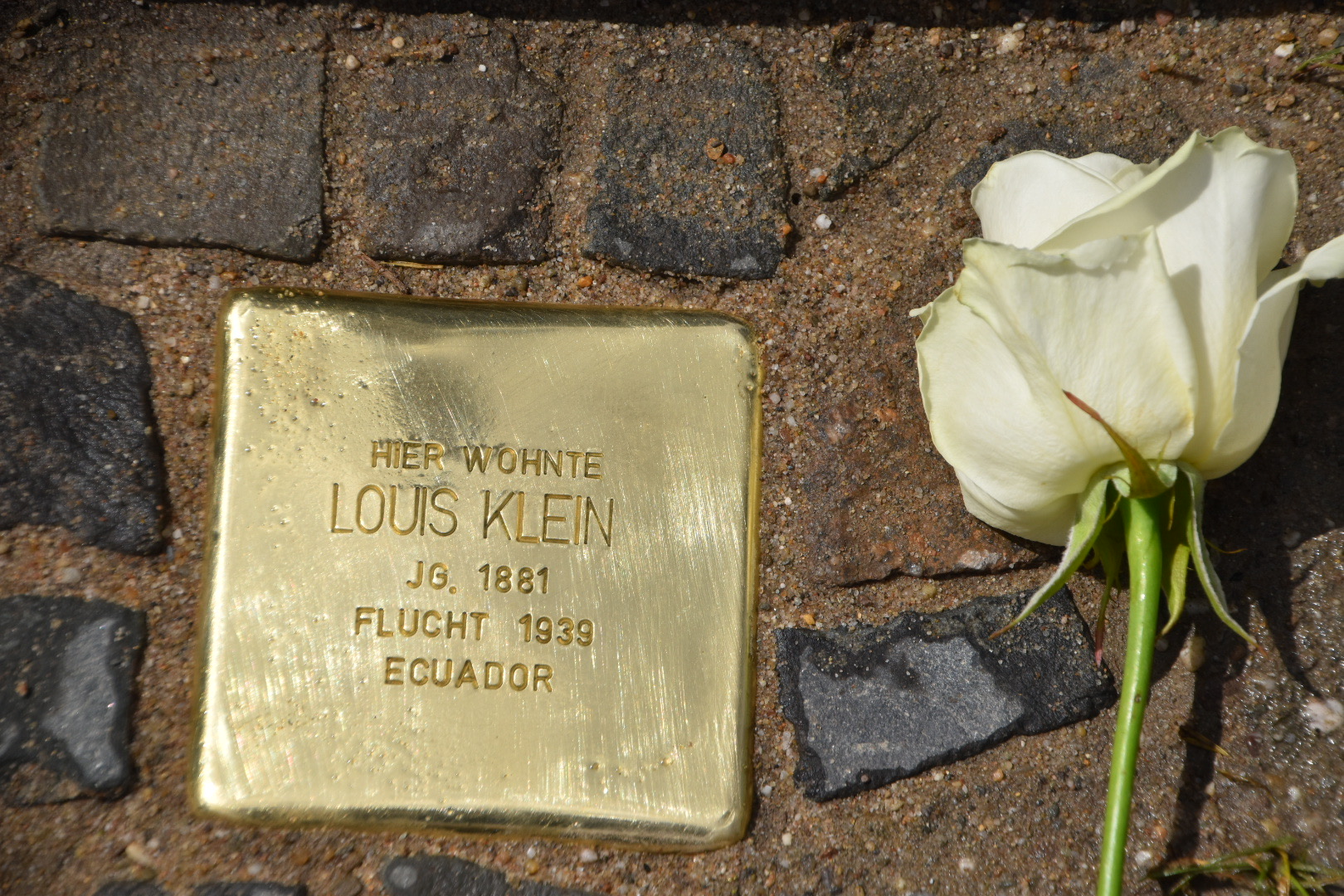 Mehr über den Artikel erfahren Fünf neue Stolpersteine in St. Tönis